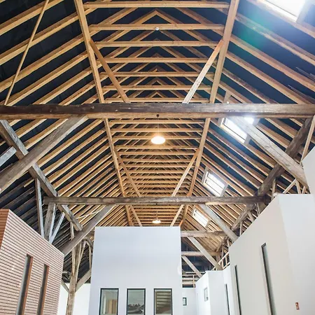 Senden 14 Maartje Krummhörn