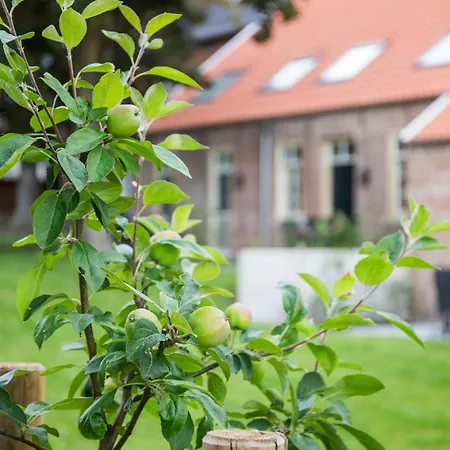 Апартаменты Senden 14 Maartje Крумхёрн