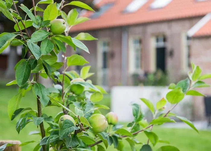 Apartamento Senden 14 Maartje Krummhörn